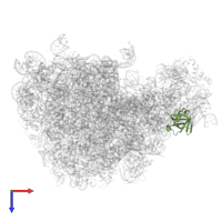 Large ribosomal subunit protein bL25 in PDB entry 6qul, assembly 1, top view.