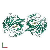 Homo dimeric assembly 1 of PDB entry 6qut coloured by chemically distinct molecules, front view.