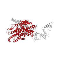The deposited structure of PDB entry 6qvb contains 2 copies of Pfam domain PF00654 (Voltage gated chloride channel) in Chloride channel protein 1. Showing 1 copy in chain B [auth A].