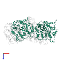 Tubulin alpha-1B chain in PDB entry 6qve, assembly 1, top view.