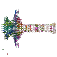 PDB entry 6qzf coloured by chain, front view.