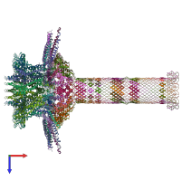 PDB entry 6qzf coloured by chain, top view.