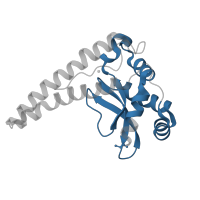 The deposited structure of PDB entry 6qzn contains 1 copy of Pfam domain PF02777 (Iron/manganese superoxide dismutases, C-terminal domain) in Superoxide dismutase [Mn] 2, mitochondrial. Showing 1 copy in chain A.