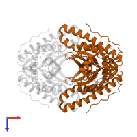 Superoxide dismutase [Mn] 2, mitochondrial in PDB entry 6qzn, assembly 1, top view.