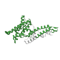 The deposited structure of PDB entry 6r2s contains 1 copy of Pfam domain PF05424 (Duffy binding domain) in Duffy receptor. Showing 1 copy in chain C.