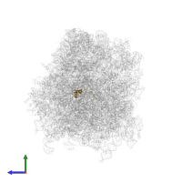 eS21 in PDB entry 6r5q, assembly 1, side view.