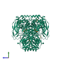 Homo dimeric assembly 1 of PDB entry 6r5t coloured by chemically distinct molecules, side view.