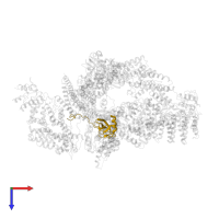 Elongin-B in PDB entry 6r7i, assembly 1, top view.