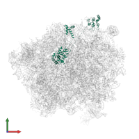 tRNA endonuclease VMS1 in PDB entry 6r86, assembly 1, front view.