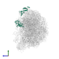 tRNA endonuclease VMS1 in PDB entry 6r86, assembly 1, side view.