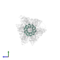 V-ATPase proteolipid subunit C-like domain-containing protein in PDB entry 6rdg, assembly 1, side view.