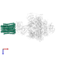 V-ATPase proteolipid subunit C-like domain-containing protein in PDB entry 6rdg, assembly 1, top view.