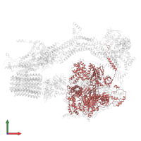 ATP synthase subunit alpha in PDB entry 6rdh, assembly 1, front view.