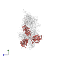 ATP synthase subunit alpha in PDB entry 6rdh, assembly 1, side view.