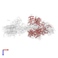 ATP synthase subunit alpha in PDB entry 6rdh, assembly 1, top view.