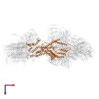 ATP synthase associated protein ASA1 in PDB entry 6rdh, assembly 1, top view.