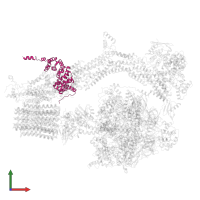 Mitochondrial F1F0 ATP synthase associated 32 kDa protein in PDB entry 6rdh, assembly 1, front view.