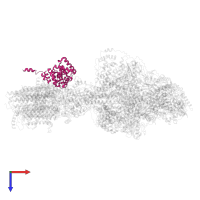 Mitochondrial F1F0 ATP synthase associated 32 kDa protein in PDB entry 6rdh, assembly 1, top view.