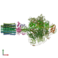 PDB entry 6rdj coloured by chain, front view.