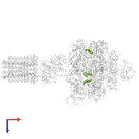 ADENOSINE-5'-TRIPHOSPHATE in PDB entry 6rdj, assembly 1, top view.