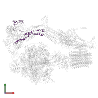 Mitochondrial ATP synthase associated protein ASA7 in PDB entry 6rdo, assembly 1, front view.