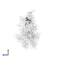 Mitochondrial ATP synthase associated protein ASA7 in PDB entry 6rdo, assembly 1, side view.