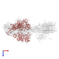 ATP synthase subunit alpha in PDB entry 6rdx, assembly 1, top view.