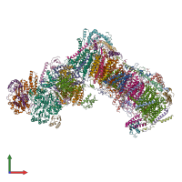 PDB entry 6rfq coloured by chain, front view.