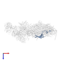 YALI0E11891p in PDB entry 6rfq, assembly 1, top view.