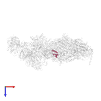 NADH-ubiquinone oxidoreductase chain 4L in PDB entry 6rfq, assembly 1, top view.