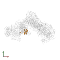 Complex 1 LYR protein domain-containing protein in PDB entry 6rfq, assembly 1, front view.