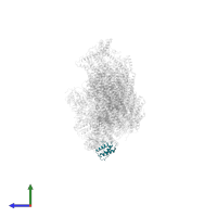 Acyl carrier protein in PDB entry 6rfq, assembly 1, side view.