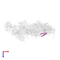 NADH dehydrogenase [ubiquinone] 1 beta subcomplex subunit 9 in PDB entry 6rfq, assembly 1, top view.