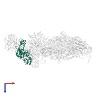 YALI0D05467p in PDB entry 6rfq, assembly 1, top view.