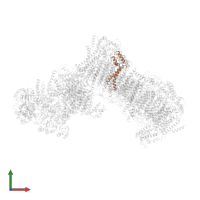 NADH-ubiquinone oxidoreductase 21 kDa subunit in PDB entry 6rfq, assembly 1, front view.