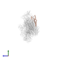 NADH-ubiquinone oxidoreductase 21 kDa subunit in PDB entry 6rfq, assembly 1, side view.