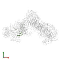 NADH-ubiquinone oxidoreductase 21.3 kDa subunit in PDB entry 6rfq, assembly 1, front view.