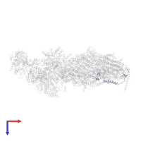 YALI0D04939p in PDB entry 6rfq, assembly 1, top view.