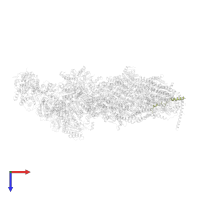 NADH-ubiquinone oxidoreductase B12 subunit family-domain-containing protein in PDB entry 6rfq, assembly 1, top view.