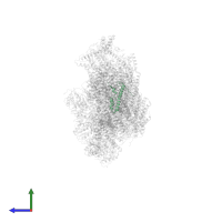 NADH-ubiquinone oxidoreductase 12 kDa subunit in PDB entry 6rfq, assembly 1, side view.