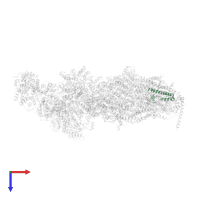 NADH-ubiquinone oxidoreductase 12 kDa subunit in PDB entry 6rfq, assembly 1, top view.