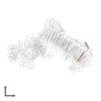 Subunit N7BM of NADH:Ubiquinone Oxidoreductase (Complex I) in PDB entry 6rfq, assembly 1, front view.