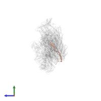 Subunit N7BM of NADH:Ubiquinone Oxidoreductase (Complex I) in PDB entry 6rfq, assembly 1, side view.