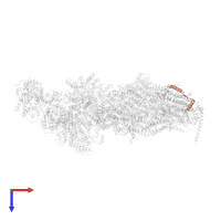 Subunit N7BM of NADH:Ubiquinone Oxidoreductase (Complex I) in PDB entry 6rfq, assembly 1, top view.