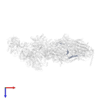 NADH-ubiquinone oxidoreductase B15 subunit in PDB entry 6rfq, assembly 1, top view.