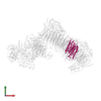 NADH-ubiquinone oxidoreductase chain 4 in PDB entry 6rfq, assembly 1, front view.