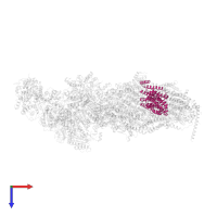 NADH-ubiquinone oxidoreductase chain 4 in PDB entry 6rfq, assembly 1, top view.