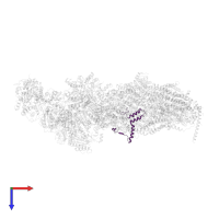 YALI0F18359p in PDB entry 6rfq, assembly 1, top view.