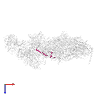 NADH dehydrogenase [ubiquinone] 1 alpha subcomplex subunit 1 in PDB entry 6rfq, assembly 1, top view.