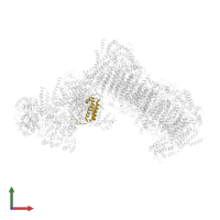 ETC complex I subunit conserved region-domain-containing protein in PDB entry 6rfq, assembly 1, front view.